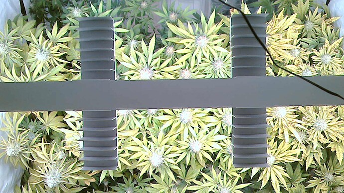 Growreport Bild 6