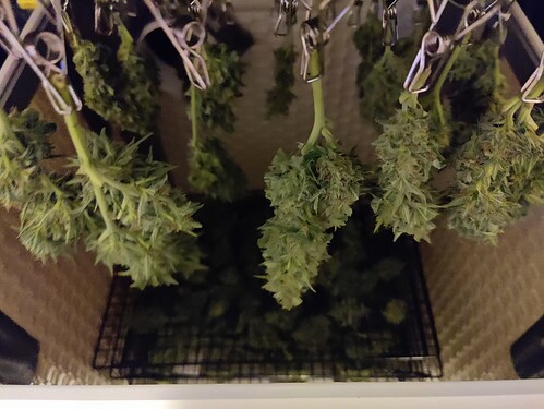 Growreport Bild 12