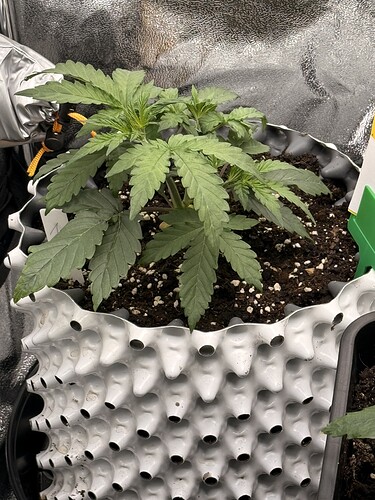Growreport Bild 8
