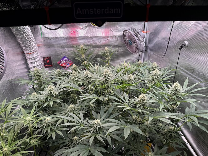 Growreport Bild 4