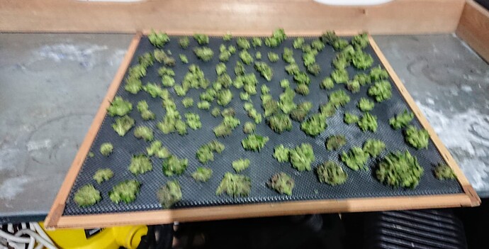 Growreport Bild 7