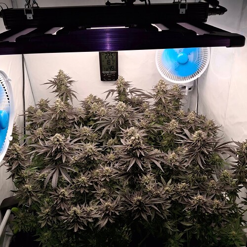 480822821_122169369476293599_647492081319494366_n