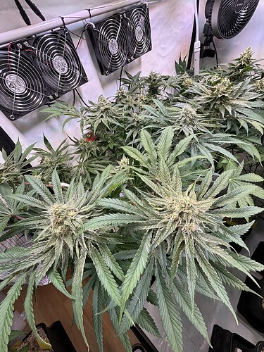 Growreport Bild 5
