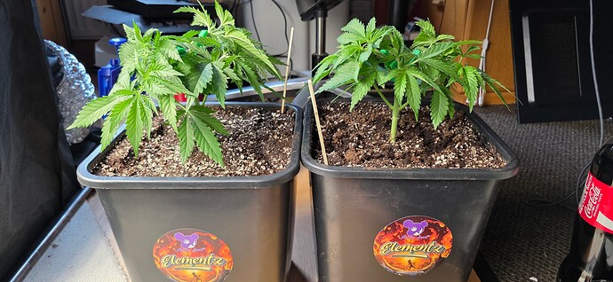 Growreport Bild 12