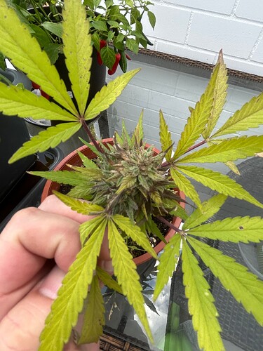 Growreport Bild 10