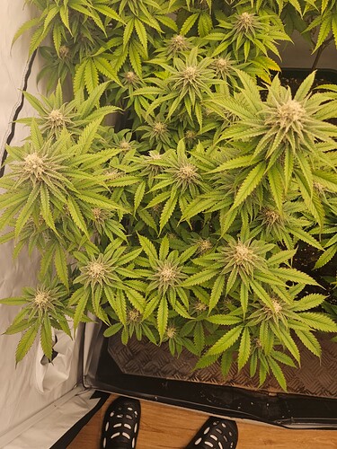Growreport Bild 7