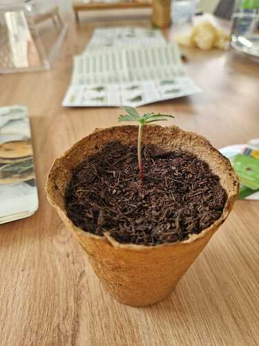 WhatsApp Image 2024-04-18 at 18.15.34 (3)