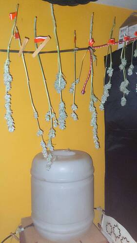 Growreport Bild 5