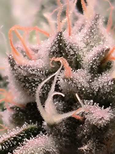 449529920_7674458666007134_359834634420469546_n