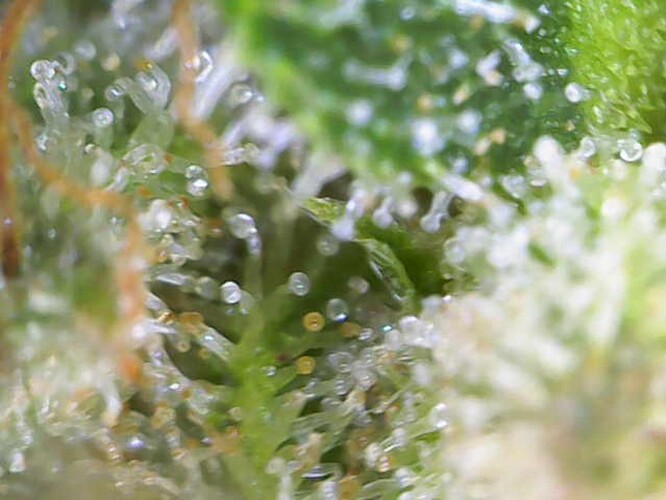 Image_2024-07-15 10_56_59_327