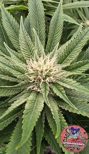 Growreport Bild 18