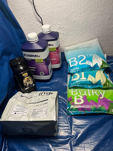 Growreport Bild 24