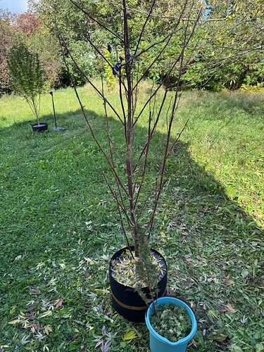 Growreport Bild 22