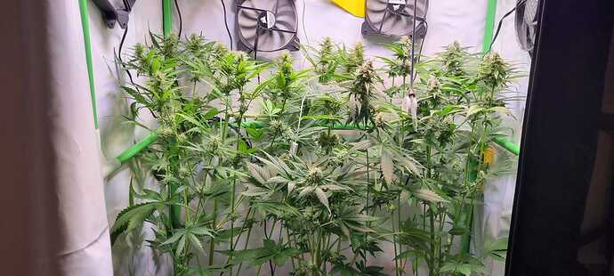 Growreport Bild 10