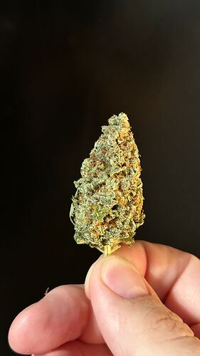 Growreport Bild 11