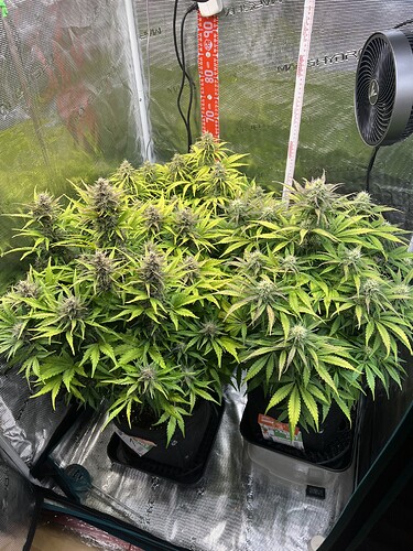 Growreport Bild 20