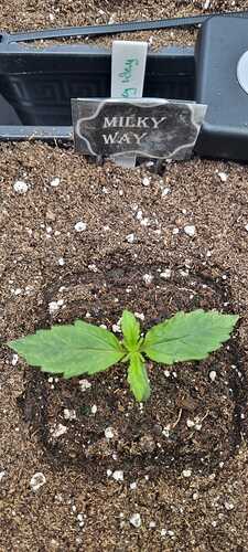 WhatsApp Image 2025-11-24 at 14.52.50 (5)