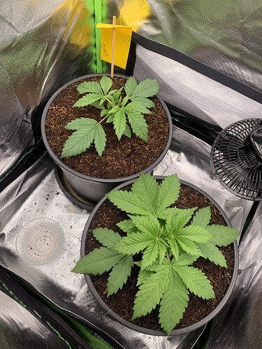 Growreport Bild 7