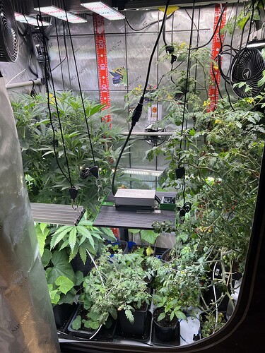 Growreport Bild 5