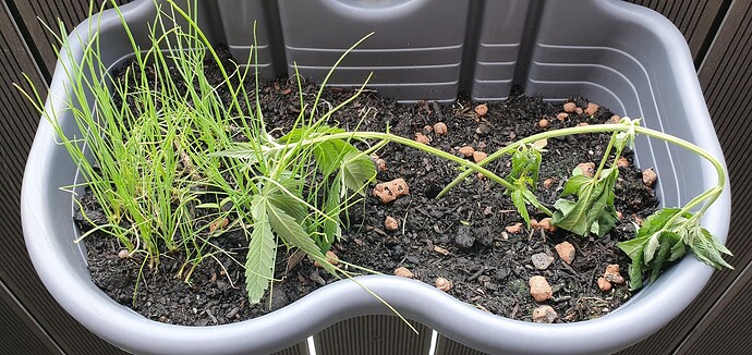 Growreport Bild 5