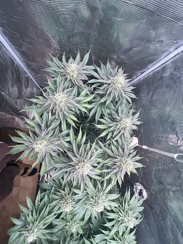 Growreport Bild 2