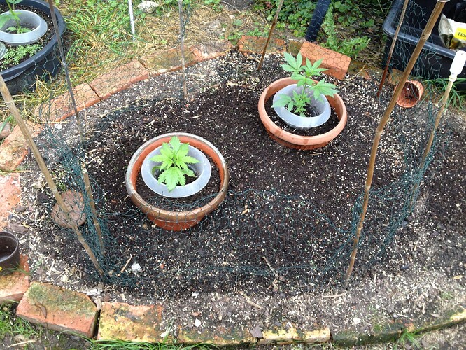 Growreport Bild 14