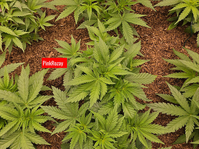 20260307_213423_edited_