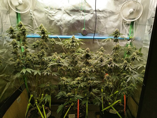 Growreport Bild 6