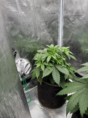 Growreport Bild 5