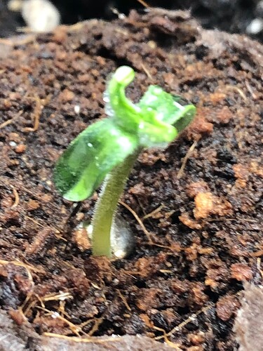 Growreport Bild 5