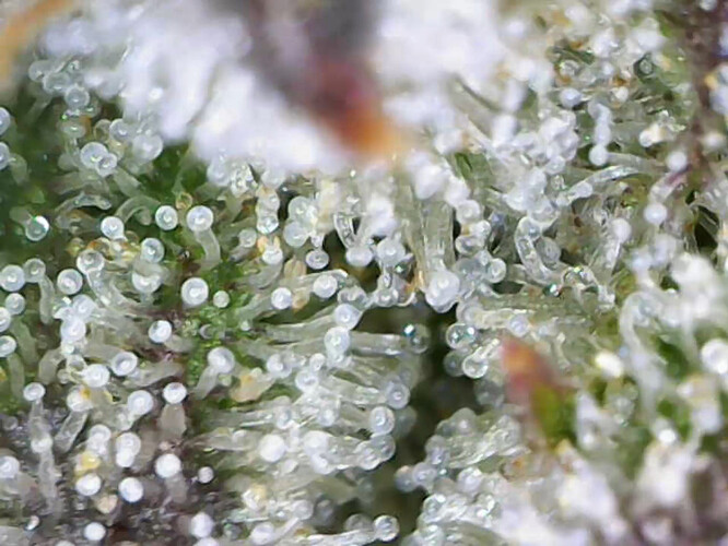 cap_bc103f14a50e32c5b817f82c1f9c103f_00_00_19_07