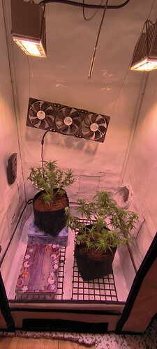 Growreport Bild 21