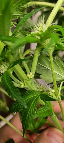 Growreport Bild 15