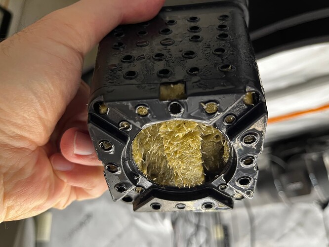 Purple_Thai_Wurzeln_1