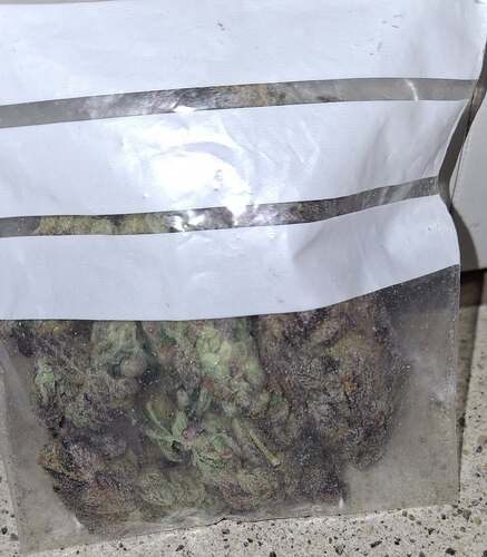 Growreport Bild 40