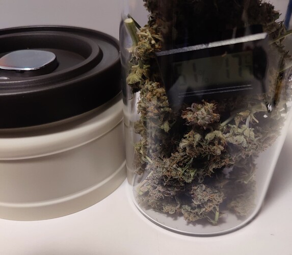 Growreport Bild 8
