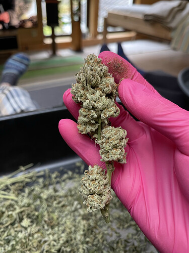 Growreport Bild 16