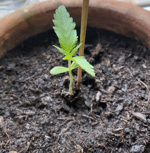 Growreport Bild 2