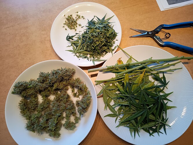 Growreport Bild 8