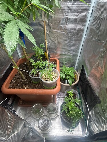 Growreport Bild 46