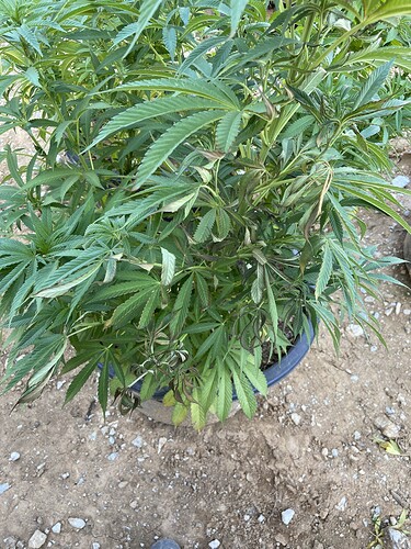 Growreport Bild 1