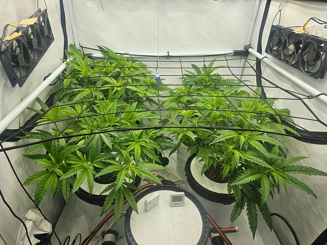 Growreport Bild 23