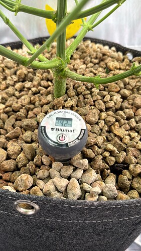 20240516_164447253_iOS