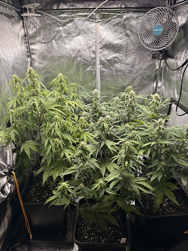 Growreport Bild 5