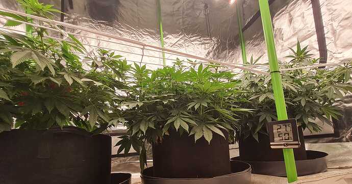 Growreport Bild 15
