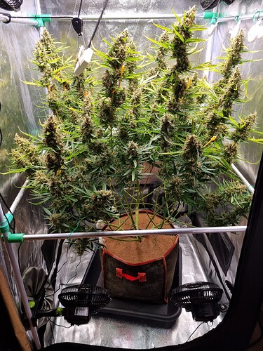 Growreport Bild 24
