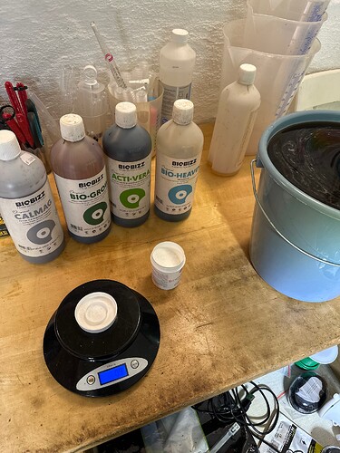 Growreport Bild 41