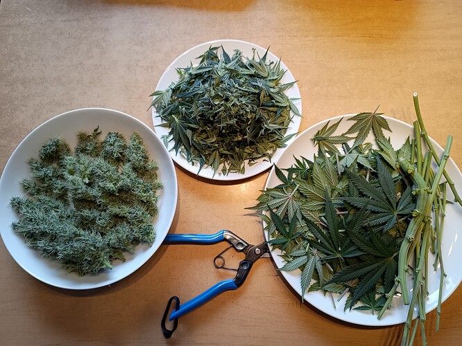 Growreport Bild 9