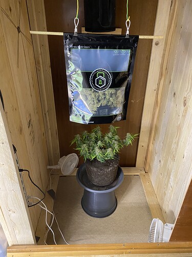 Growreport Bild 39