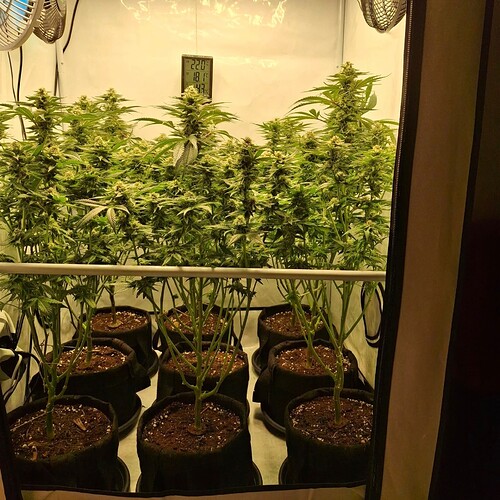 475567967_122166880592293599_7688954105941033653_n